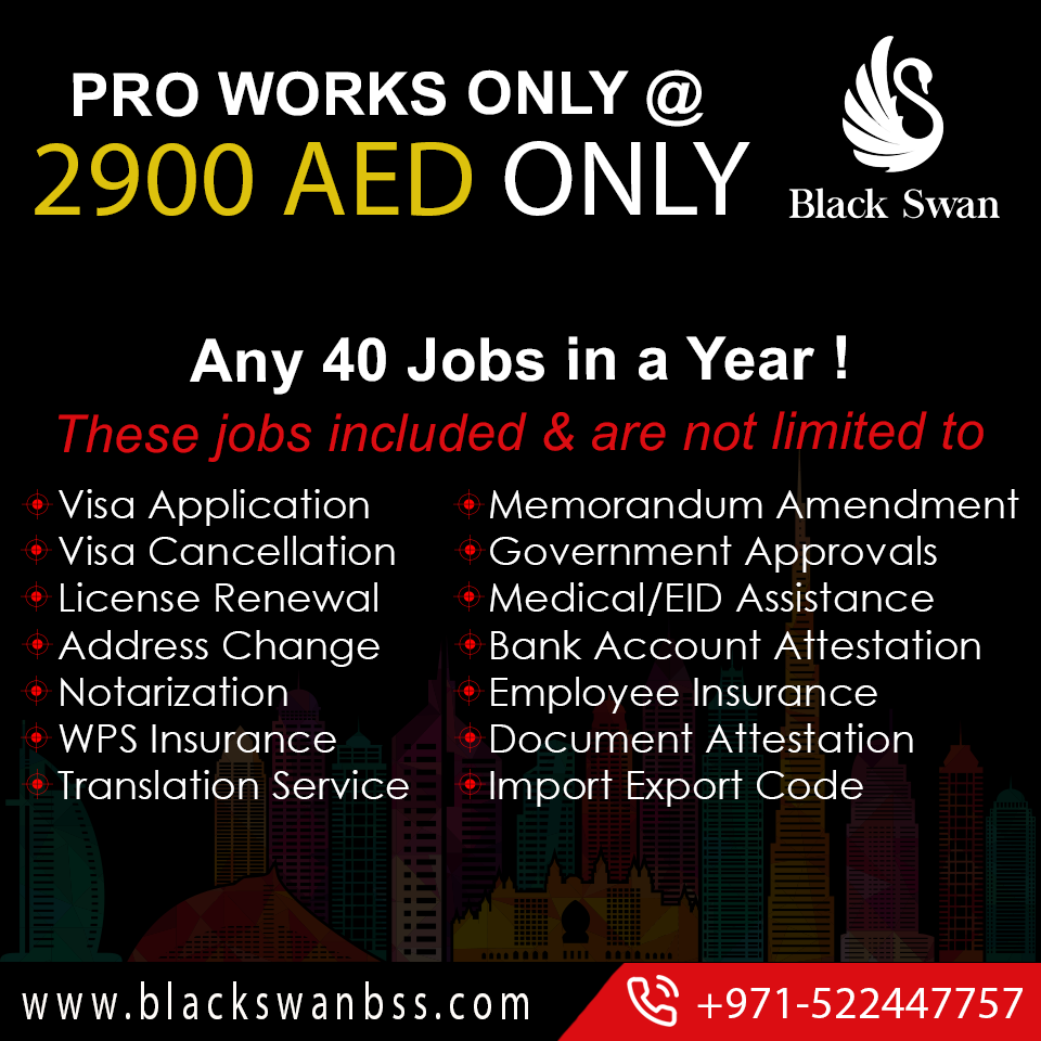 PRO SERVICE IN DUBAI