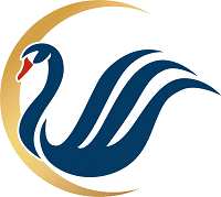 Cyber-Swan