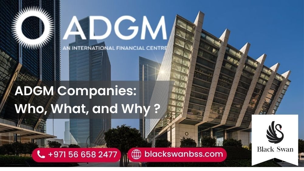 ADGM Companies: Who, What, and Why