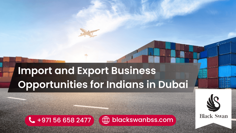 Import and Export Business Opportunities for Indians in Dubai