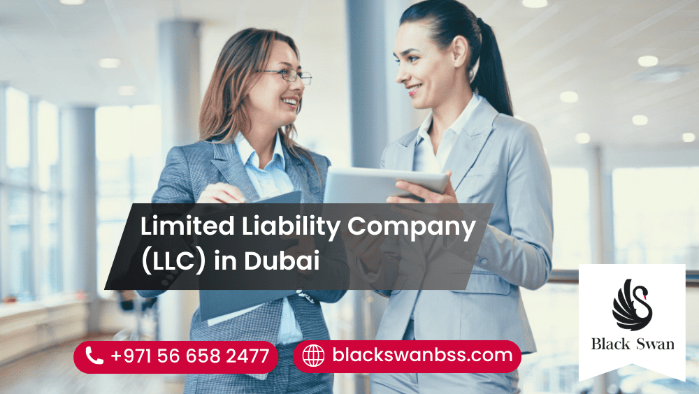 Limited Liability Company (LLC) in Dubai: Key Features