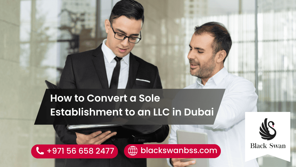 How to Convert a Sole Establishment to an LLC in Dubai